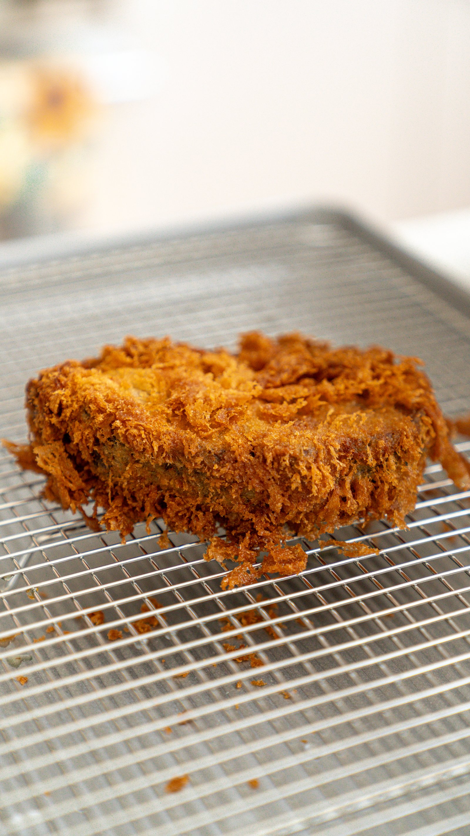 Panko-breaded katsu cutlet